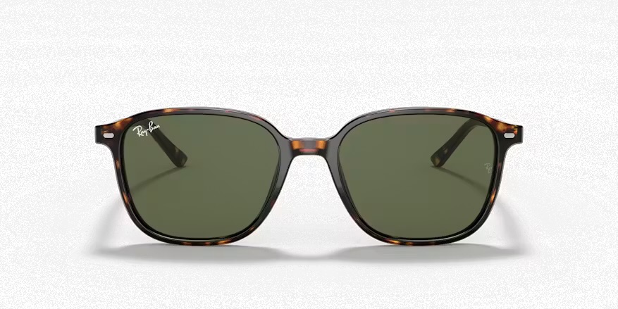 عینک آفتابی Ray Ban مدل RB2193